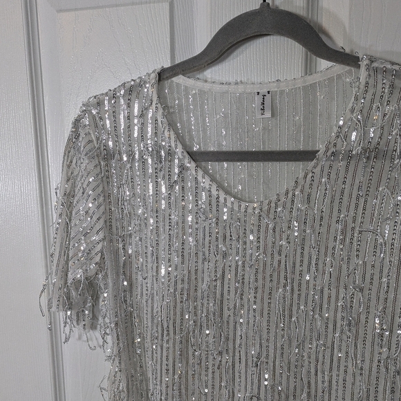 Silver Sequin Fringe Sheer Mesh Short Sleeve Sparkly Fun Party Blouse - Picture 5 of 6